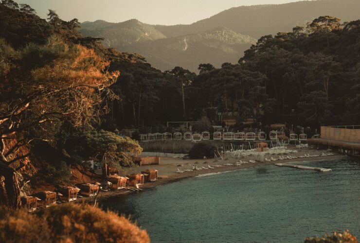 travel advisory mexico - Photo by UMUT 🆁🅰🆆 on Pexels