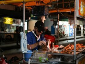 Strangest Foods You Can Only Find in Southeast Asia - Photo by Faheem Ahamad on Pexels
