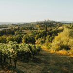 Where Was You, Me & Tuscany Filmed? Behind the Scenes of the Immaculate Italian Locales - Photo by Helena Jankovičová Kováčová on Pexels