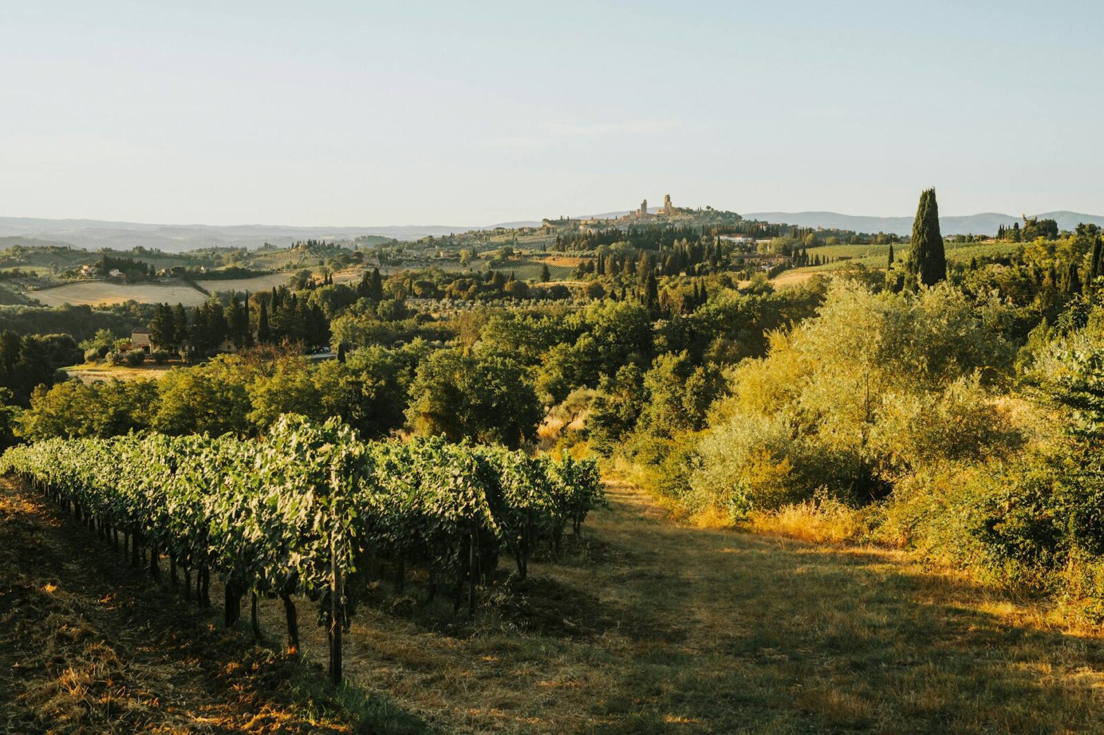 Where Was You, Me & Tuscany Filmed? Behind the Scenes of the Immaculate Italian Locales - Photo by Helena Jankovičová Kováčová on Pexels