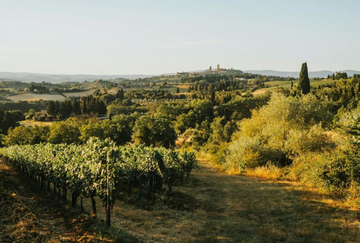Where Was You, Me & Tuscany Filmed? Behind the Scenes of the Immaculate Italian Locales - Photo by Helena Jankovičová Kováčová on Pexels