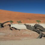 Hariom Travels & Tourism LLC - reshaping the narrative of African tourism - Photo by Hub JACQU on Pexels