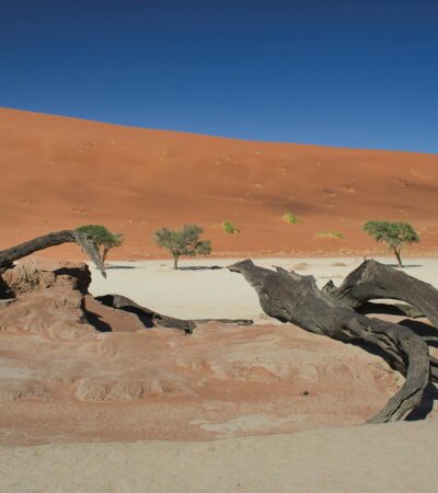 Hariom Travels & Tourism LLC - reshaping the narrative of African tourism - Photo by Hub JACQU on Pexels