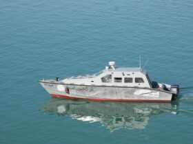 Asylum and immigration – briefing note - Photo by Emma Anna on Pexels