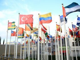 This Treaty has been a truly  vital pillar of international peace and security: UK Statement at the UN General Assembly - Photo by Th2city Santana on Pexels