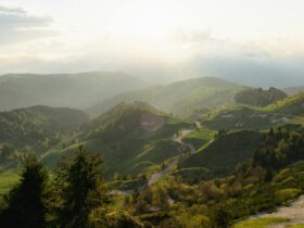 How we protected the UK and space in March 2026 - Photo by Cesare Brunello on Pexels