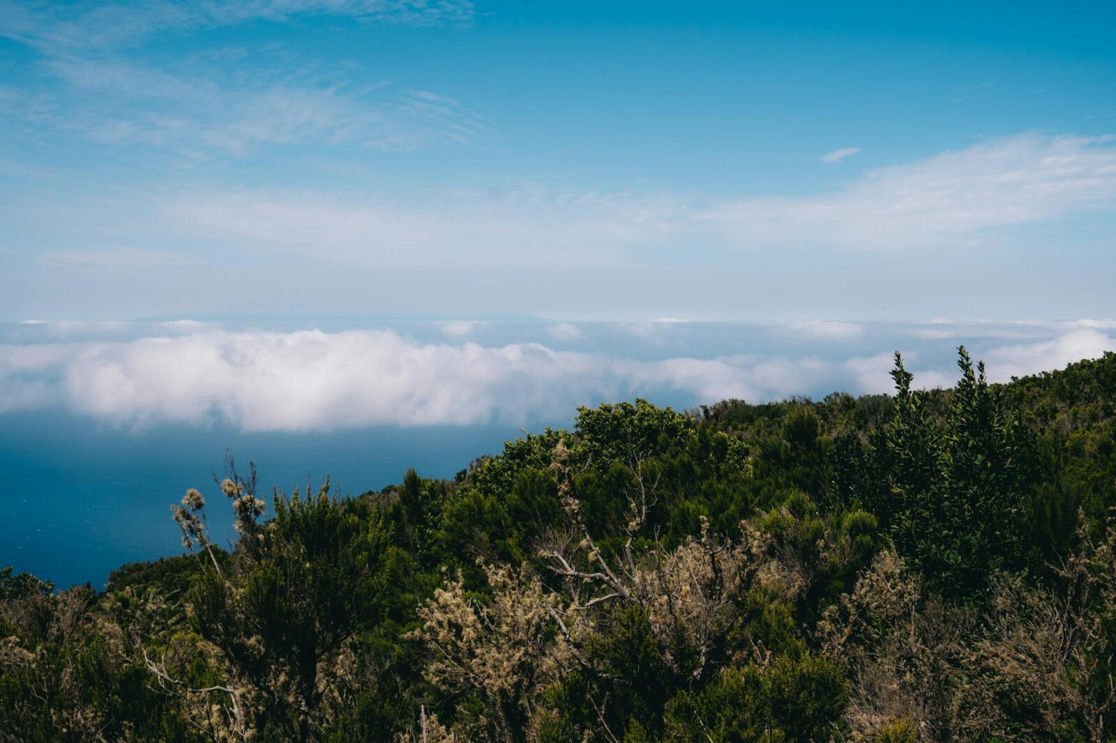 This Is the Most Beautiful Airport Landing in the U.S.—and It’s Known For Its Gorgeous Mountain Views - Photo by Liisbet Luup on Pexels