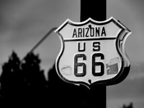 You Could Win $20,000 to Drive the Most Legendary Road in the U.S.—Here’s What You Need to Know - Photo by Patrick Gamelkoorn on Pexels