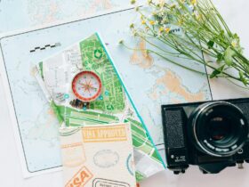 Countries That Pay You to Visit Them in 2026 — Updated Guide - Photo by Nataliya Vaitkevich on Pexels