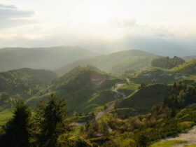 Best Mediterranean Cruise Itineraries for First Time Cruisers - Photo by Cesare Brunello on Pexels