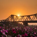 Factsheet: Desistance and Disengagement Programme - Photo by Nguyen Ngoc Tien on Pexels