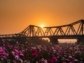 Factsheet: Desistance and Disengagement Programme - Photo by Nguyen Ngoc Tien on Pexels