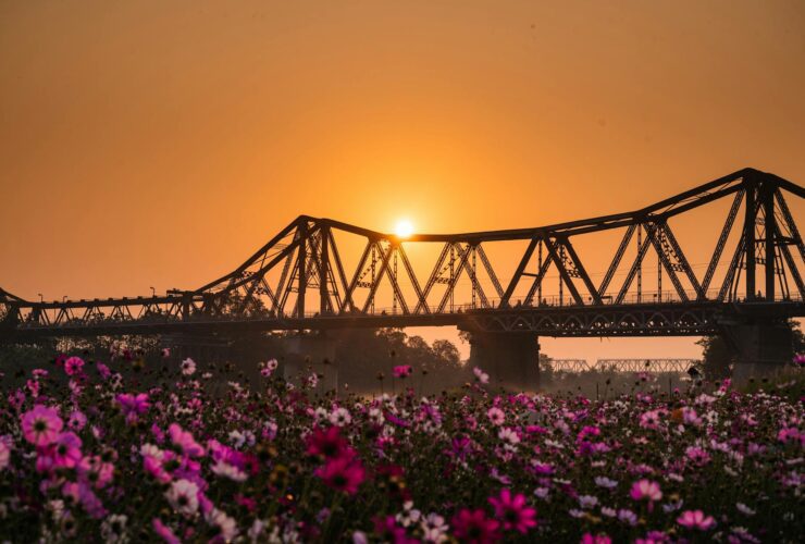 Factsheet: Desistance and Disengagement Programme - Photo by Nguyen Ngoc Tien on Pexels