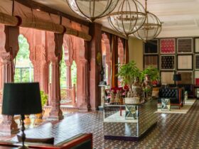 Miiro Hotels Is Taking an 18-Month Break From Openings After 6 Hotels in 18 Months - Photo by Abhishek Navlakha on Pexels