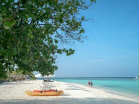 This Little-Known US Beach Was Just Voted One of the Best in the World - Photo by Asad Photo Maldives on Pexels