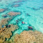9 Must-Visit Hotels for World-Class Snorkeling - Photo by Lucas Meneses on Pexels