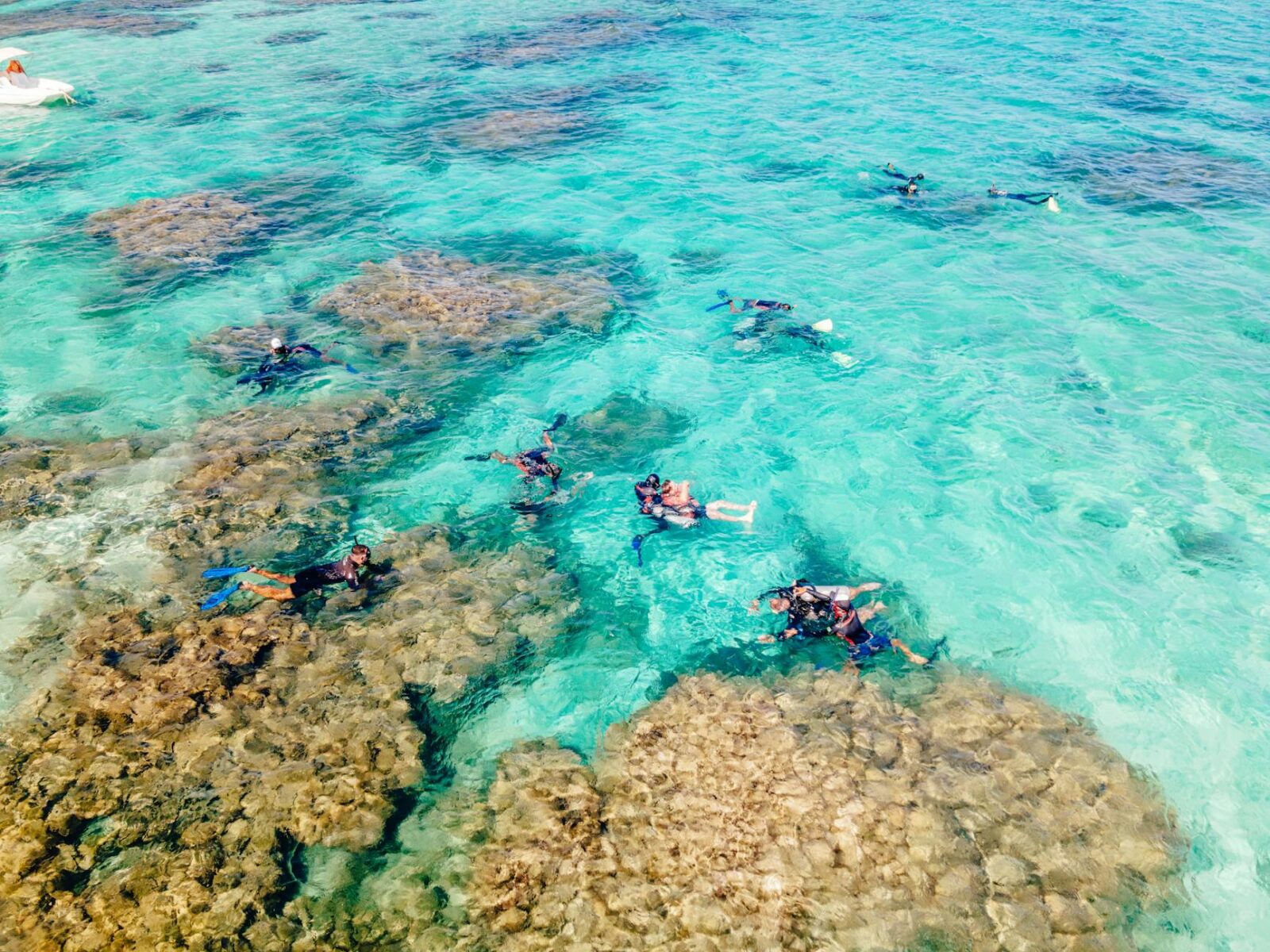 9 Must-Visit Hotels for World-Class Snorkeling - Photo by Lucas Meneses on Pexels
