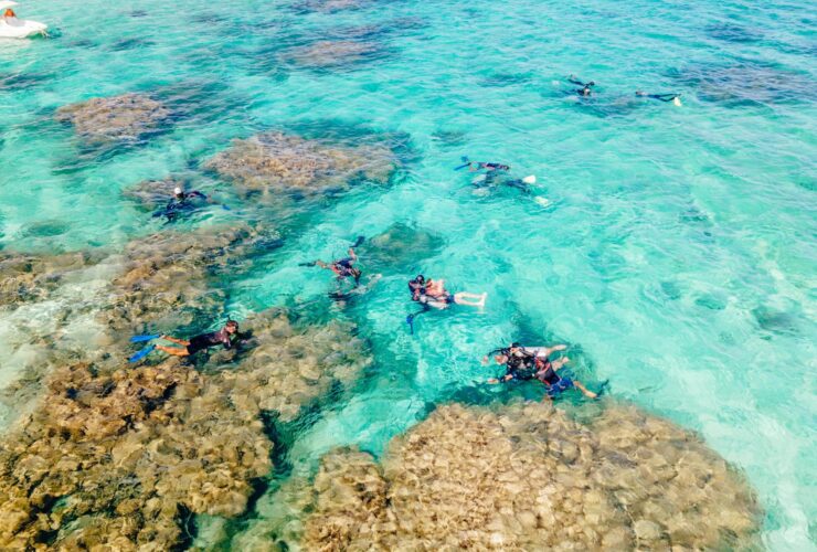 9 Must-Visit Hotels for World-Class Snorkeling - Photo by Lucas Meneses on Pexels