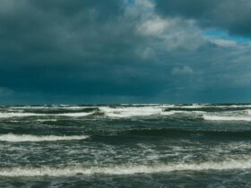 Mysterious Facts About the Bermuda Triangle That Baffle Scientists - Photo by Cedé Joey on Pexels