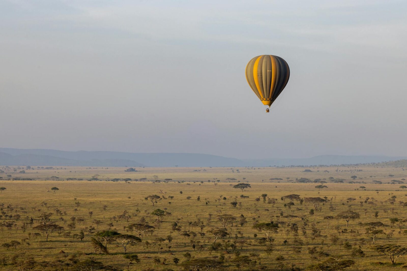 Africa’s Open-Border Gamble Is Working. Cheap Flights Are a Missing Piece - Photo by Balazs Simon on Pexels