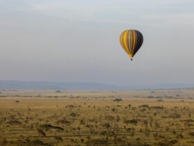 Africa’s Open-Border Gamble Is Working. Cheap Flights Are a Missing Piece - Photo by Balazs Simon on Pexels