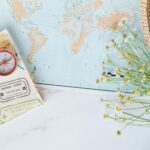 Countries That Changed Their Visa Policies in 2026 — Updated Guide - Photo by Nataliya Vaitkevich on Pexels