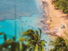 7 great family beach vacations to kick off summer - Photo by Jess Loiterton on Pexels