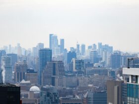 Canada is celebrating the Francophonie and investing in new initiatives to promote Francophone immigration outside Quebec - Photo by Dillon Kydd on Pexels