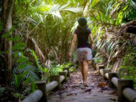 Sense Adventure Celebrates 26 Years of Offering Sunset World Group Members and Guests Experiences - Photo by ธันยกร ไกรสร on Pexels