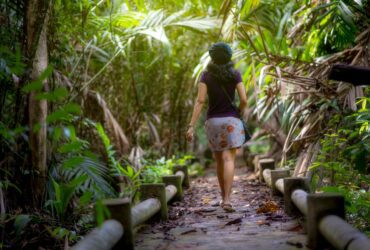 Sense Adventure Celebrates 26 Years of Offering Sunset World Group Members and Guests Experiences - Photo by ธันยกร ไกรสร on Pexels