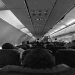 Etihad Airways Makes Travelling with Pets More Accessible - Photo by Plastic Lines on Pexels