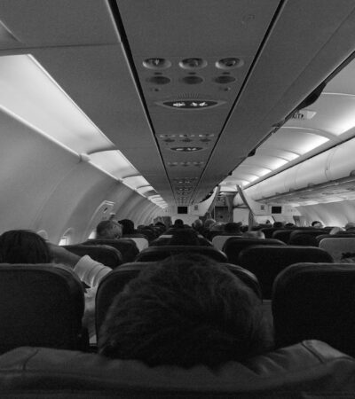 Etihad Airways Makes Travelling with Pets More Accessible - Photo by Plastic Lines on Pexels