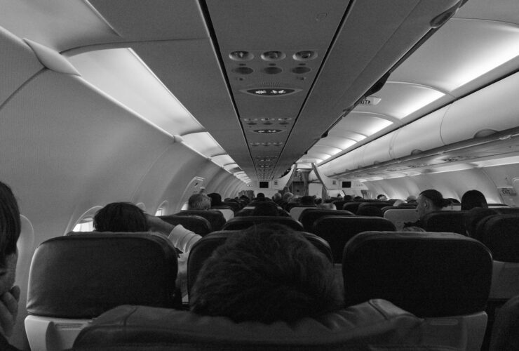 Etihad Airways Makes Travelling with Pets More Accessible - Photo by Plastic Lines on Pexels