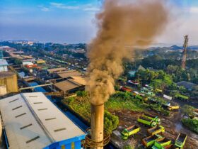 UK Emissions Trading Scheme: ministerial directions to the regulators - Photo by Tom Fisk on Pexels