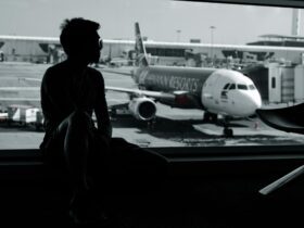 Further improvements to Pacific visitor visa settings - Photo by Godwin Torres on Pexels