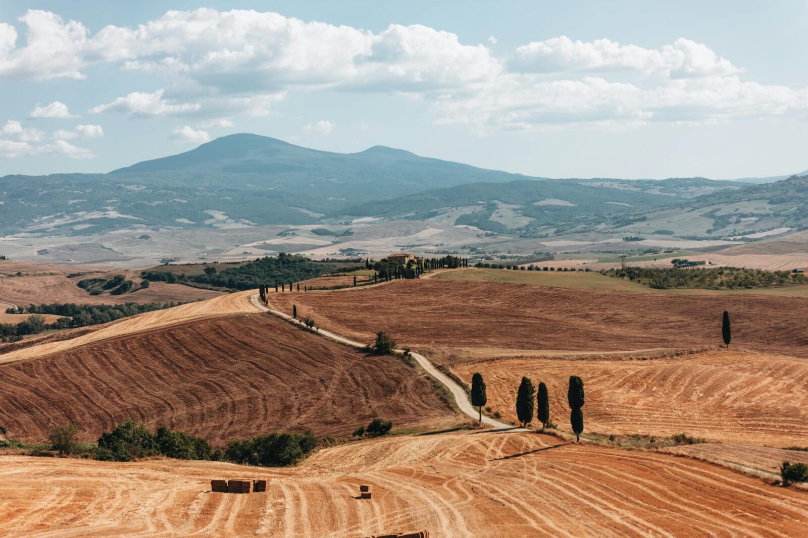 The Importance of Travel Specialists During Times of Disruption - Photo by urtimud.89 on Pexels