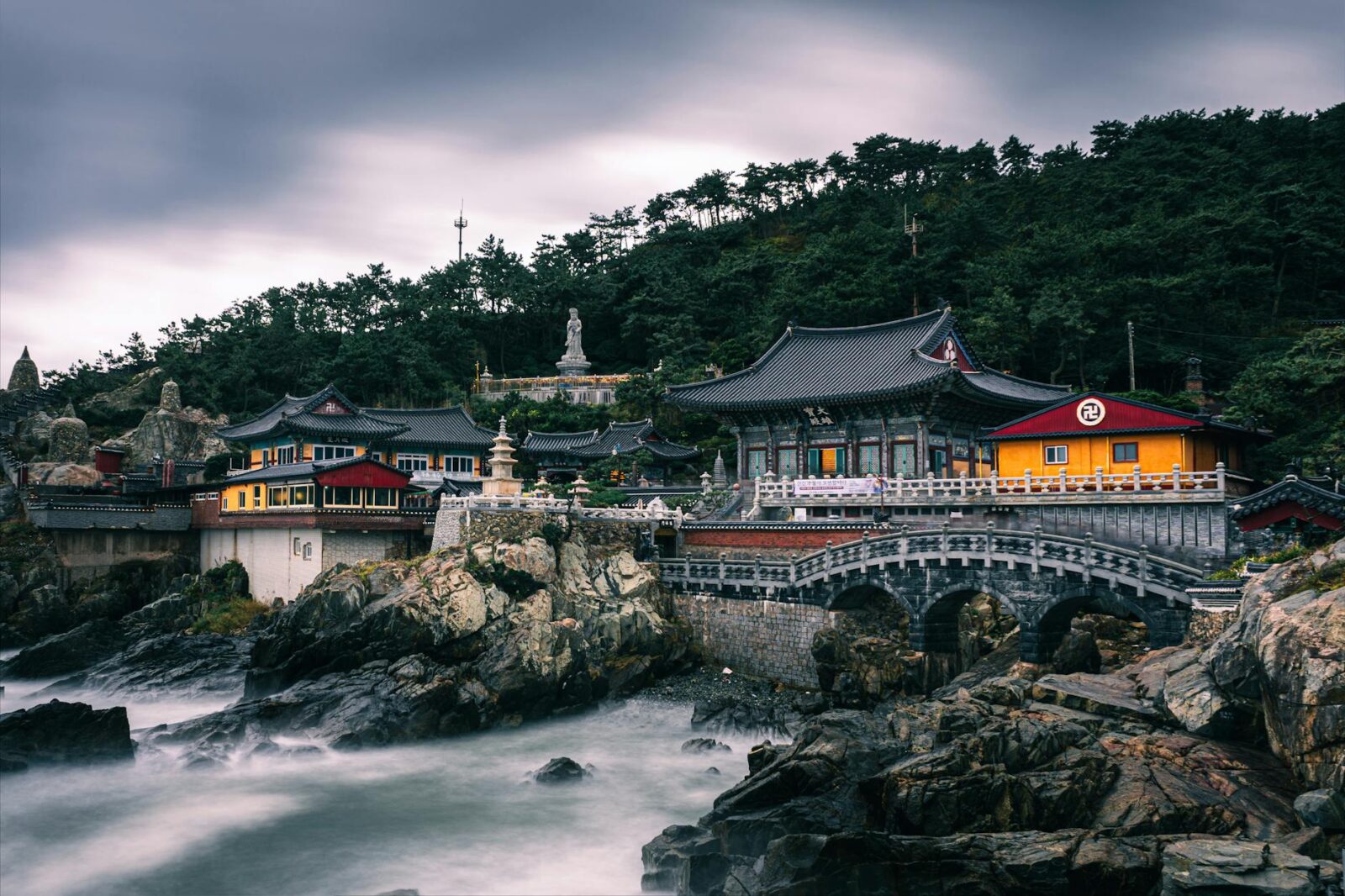 South Korea for First Timers Seoul Busan and Beyond - Photo by Dmitry Voronov on Pexels