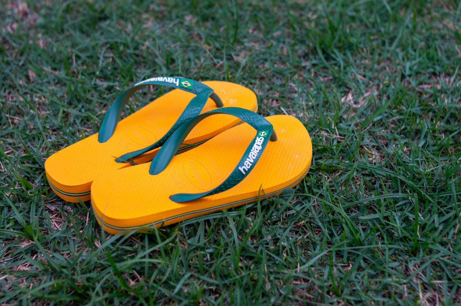 10 Waterproof Sandals for Every Summer Adventure - Photo by Ivett M on Pexels