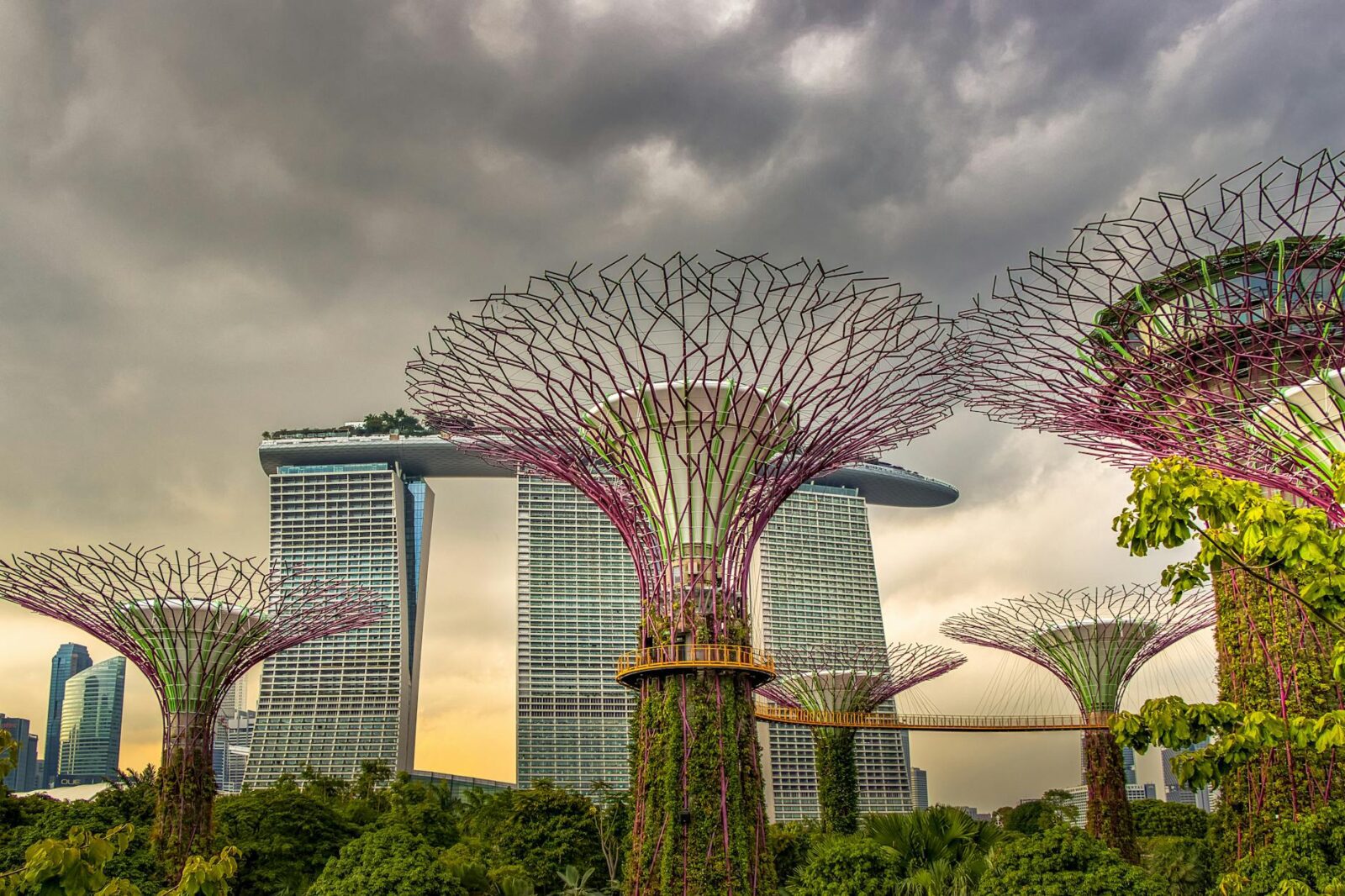Singapore in 3 Days What to See Eat and Do - Photo by Nextvoyage on Pexels