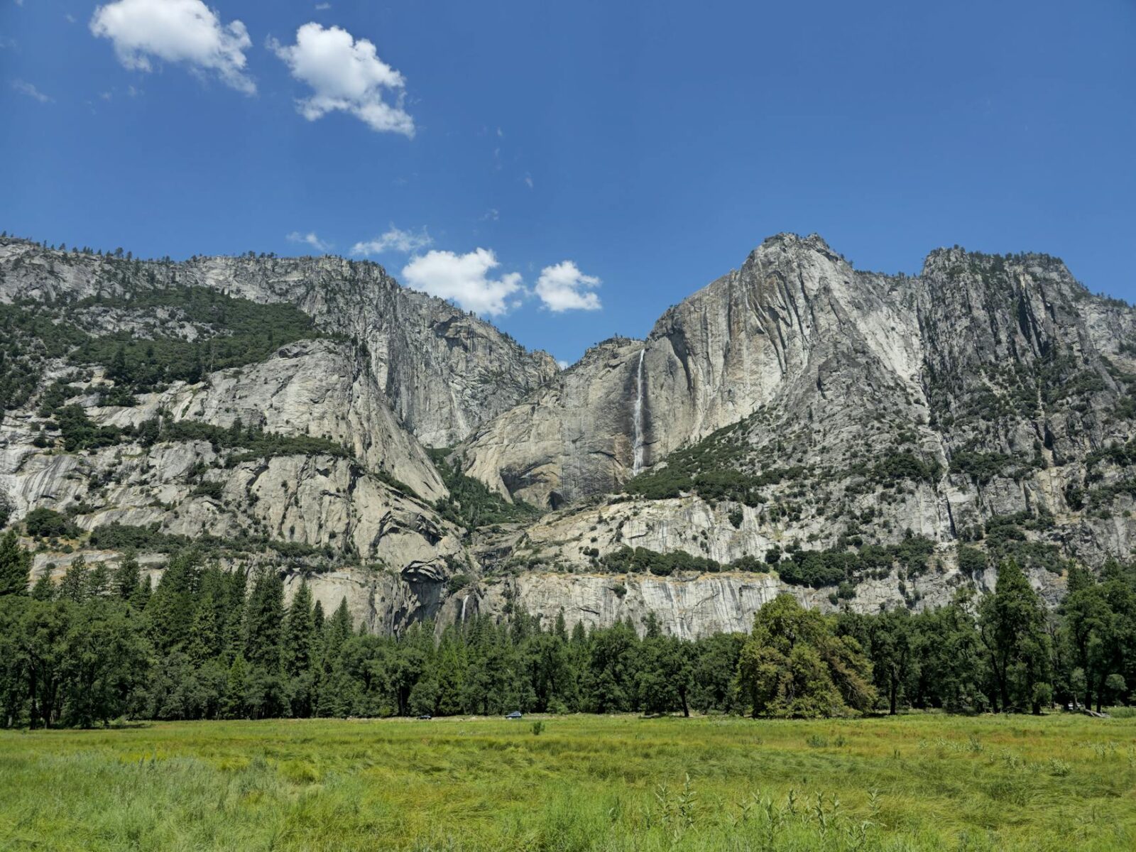 Yosemite’s Wildflower Season Is Starting—Here’s When and Where to See the Best Blooms - Photo by Stéphane Christiaens on Pexels