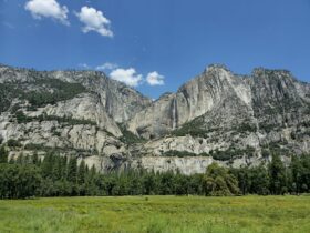 Yosemite’s Wildflower Season Is Starting—Here’s When and Where to See the Best Blooms - Photo by Stéphane Christiaens on Pexels