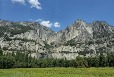 Yosemite’s Wildflower Season Is Starting—Here’s When and Where to See the Best Blooms - Photo by Stéphane Christiaens on Pexels