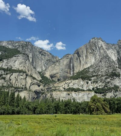 Yosemite’s Wildflower Season Is Starting—Here’s When and Where to See the Best Blooms - Photo by Stéphane Christiaens on Pexels