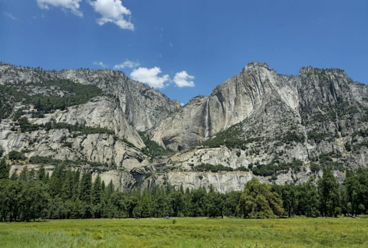 Yosemite’s Wildflower Season Is Starting—Here’s When and Where to See the Best Blooms - Photo by Stéphane Christiaens on Pexels
