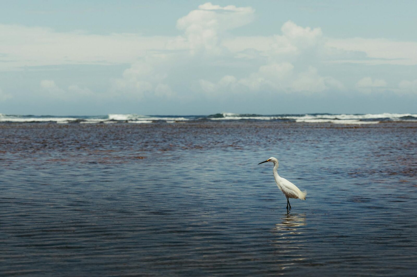 The Hamptons, But Make It British: An Ode to West Wittering in Sussex - Photo by Jonathan Borba on Pexels