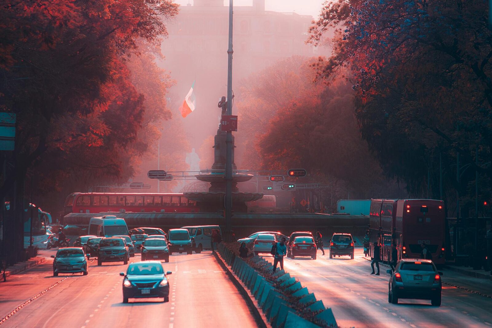 travel advisory mexico - Photo by FranDany on Pexels