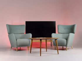 willie geist - Photo by Manuel Campagnoli on Pexels