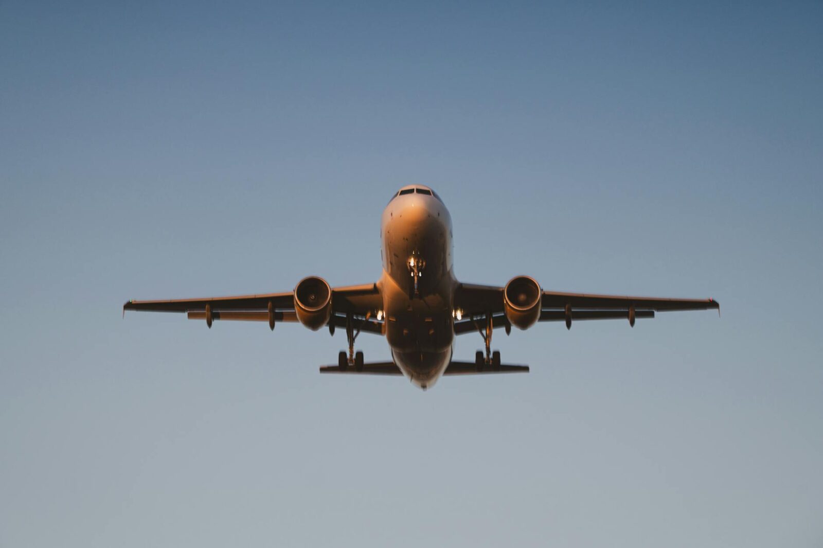 The Case for Smarter Global Advocacy For Travel — Not More Cheerleading - Photo by Walter Cunha on Pexels