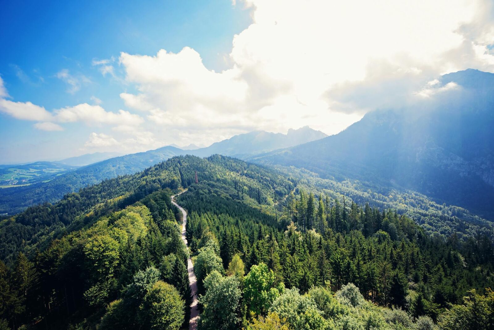 10 Best Santa Barbara Hotels for Resort Stays and Beach Retreats - Photo by Robin Godefridi on Pexels