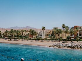 best places to visit in summer - Photo by Andrea Imre on Pexels